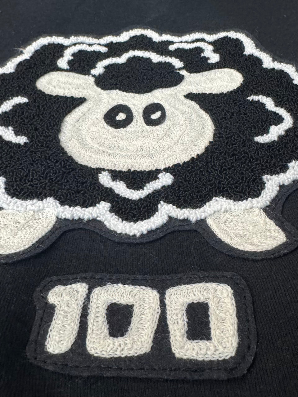 "100" Crewneck Sweatshirt with striped sleeves